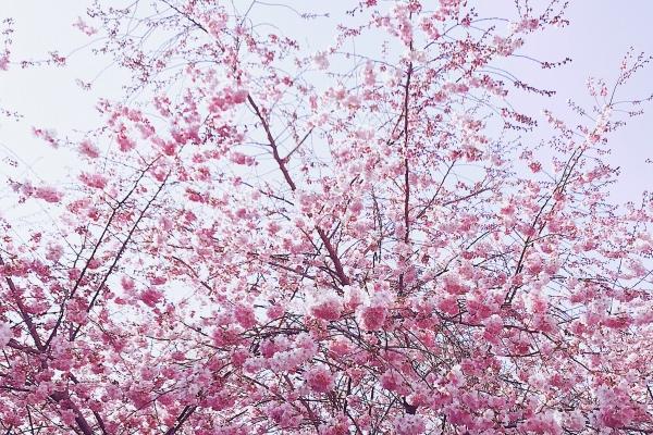 2024年10月偏财运最好的生肖 这三个属相容易有意外之财