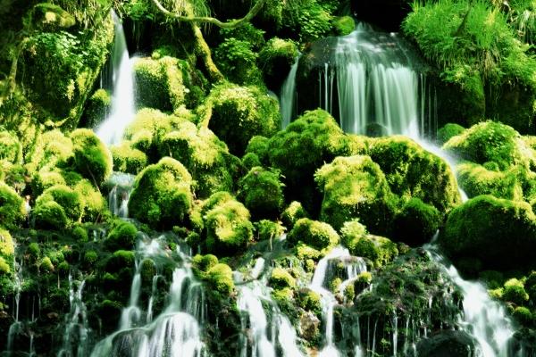 第一运程 2023年10月12日十二生肖运势解析