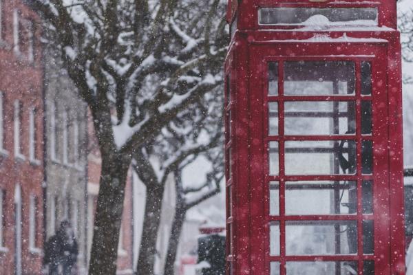 为什么鼠是蛇的贵人呢 属鼠人最大的靠山是