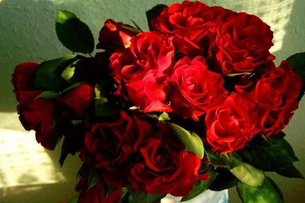 2024年4月健康运最好的生肖 虎兔龙充满活力精力充沛