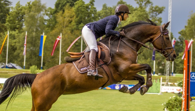 2024年正式换大运 九紫离火年机遇在哪