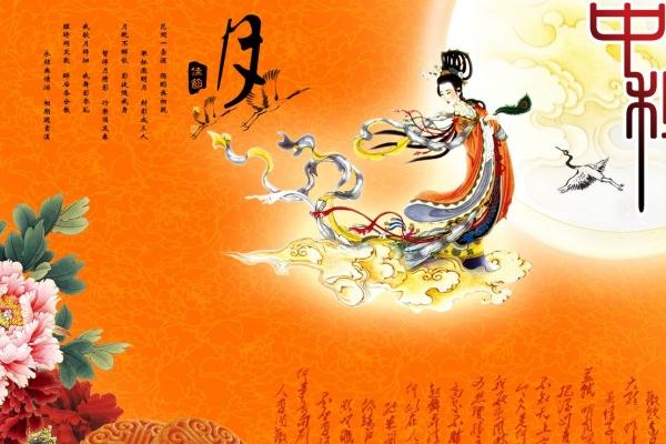 属鼠人养猫会旺财吗，属鼠人养猫好不好