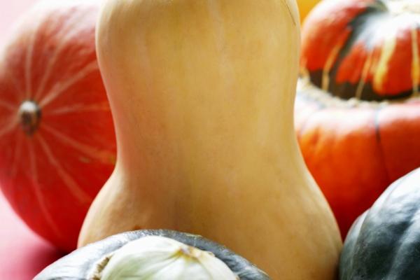 生肖虎2024独占花魁 全年运势分析