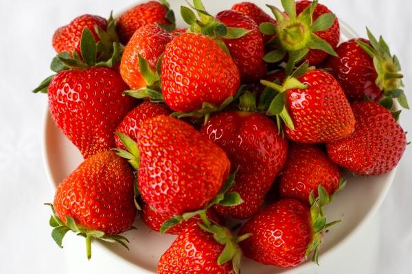 22年1月出生的孩子属什么 属牛人性格特点