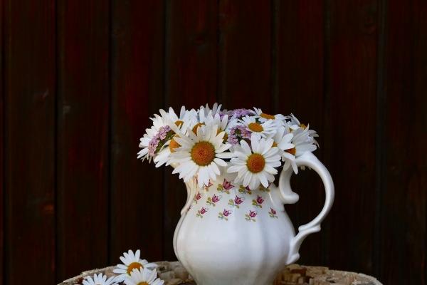 2023年鼠怎么逃过牢狱之灾，如何化解