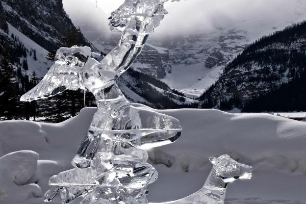 属牛人2024最旺的颜色是什么，属牛人2024年接触什么颜色好