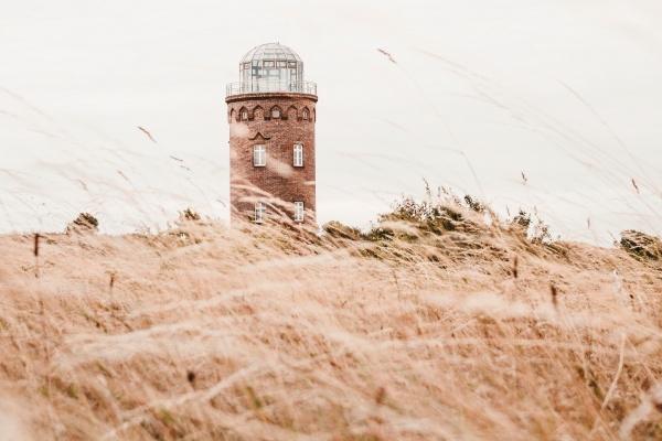 属龙的生在腊月命很苦,体现在哪里