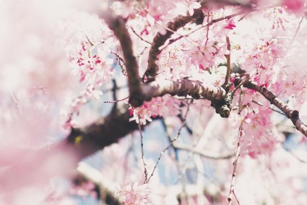 2024年必生女的月份 24年龙宝宝运势详解