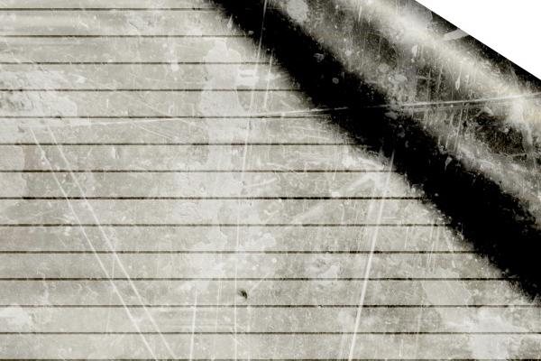 2024什么生肖什么命 2024年属龙人的命运