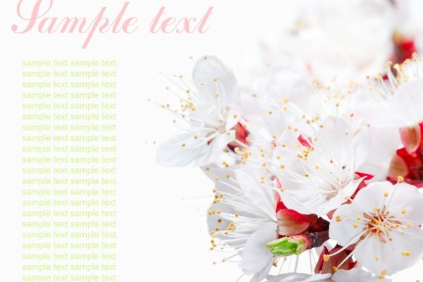 1977年属蛇46岁后好惨，会遇到哪些问题