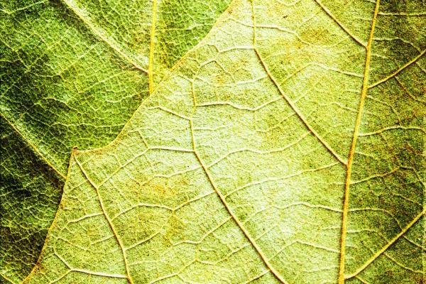 2024年哪些属相不太好 生肖兔要小心感情危机