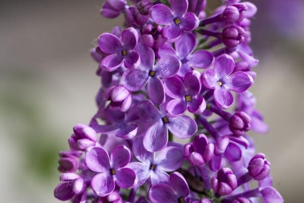 属马1978年45岁走大运 属马45岁后运程