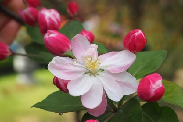 1965属蛇的今年下半年的运气,65年蛇2023年下半年运势好不好