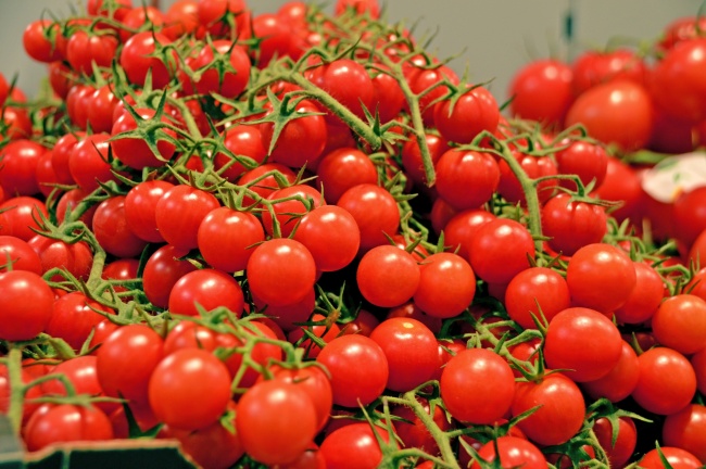 1985年属牛女适合做什么生意 属牛人的贵人