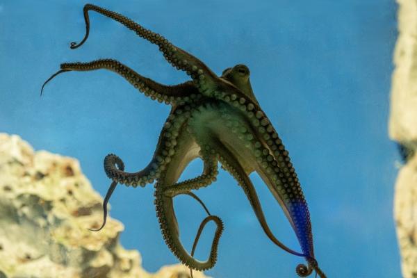 2024年1月出生的宝宝是什么命,命运怎样