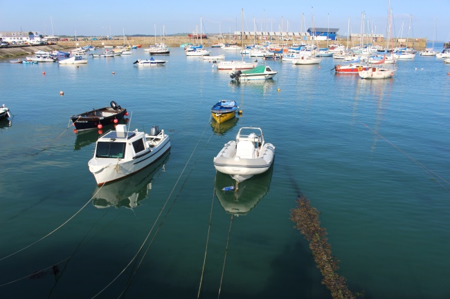 2024属兔人的全年运势如何 属兔需要好好理财