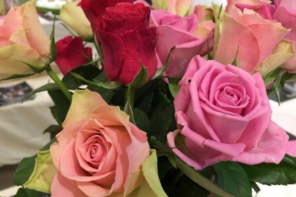 2023年犯太岁动土了怎么办,2023年不能动土的属相有哪些