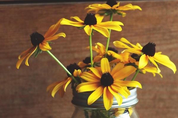 属虎人过了36岁两喜 事业高涨感情好