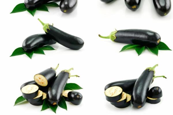 属蛇跟属马的合得来吗 蛇马婚配不错