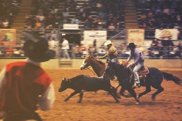 2024年适合要孩子生肖 适合怀孕的生肖