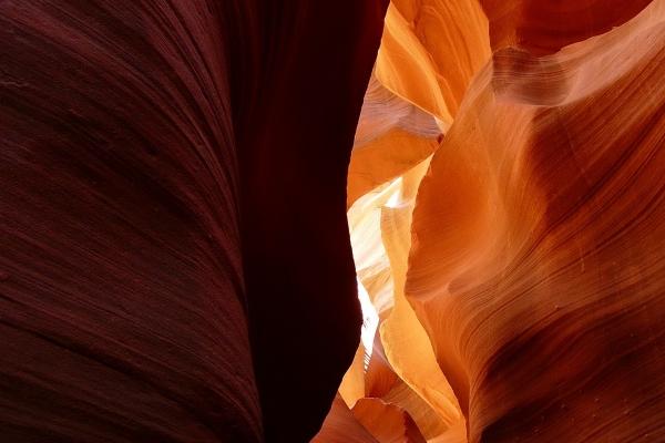 2024年哪天出生巨富命 农历初八龙最富