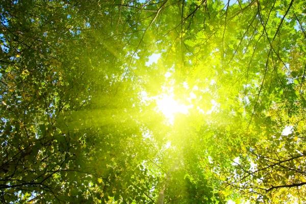 2023年属蛇女旺运颜色 佩戴哪些饰品旺事业