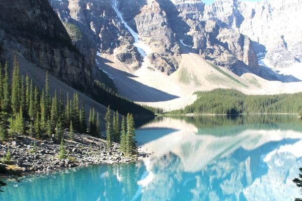 2024年1月兔一等命，2024年1月出生的属兔人命运如何