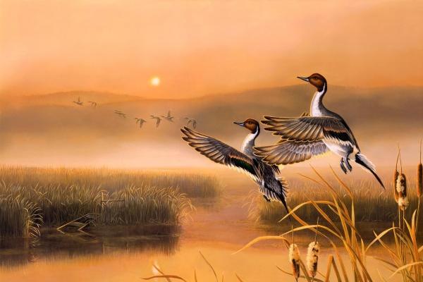 本命年犯桃花运是什么意思啊 本命年犯桃花的影响