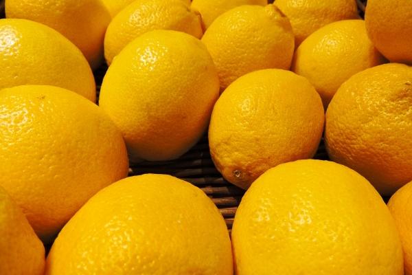 2024年各生肖运气如何 揭秘生肖运势