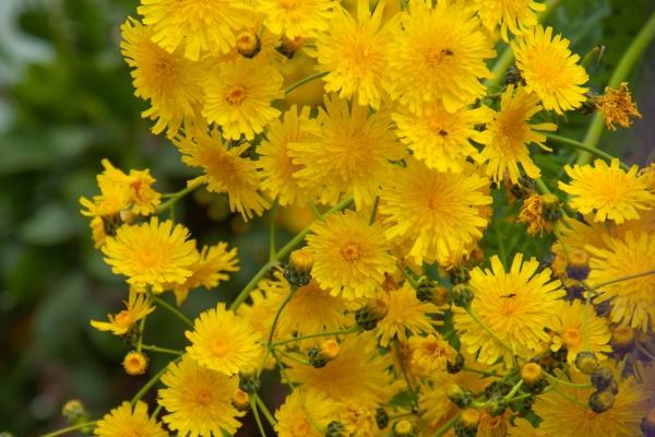 1984属鼠人40岁以后可以有孩子吗，生什么属相的孩子最好