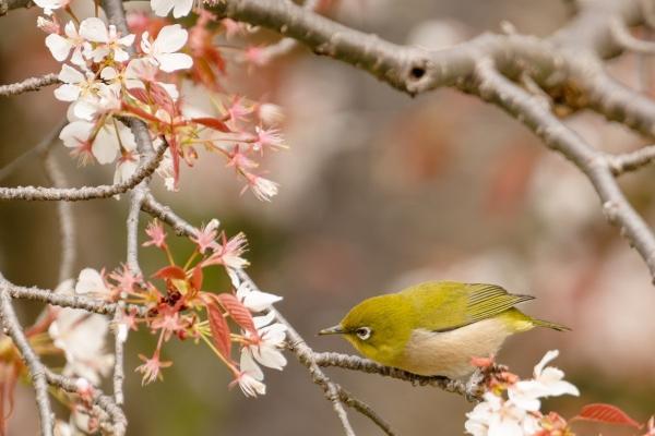 2024高考哪些生肖会金榜题名 龙年逢考必过的属相