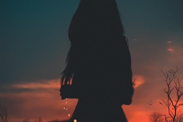 脑子最好的生肖 聪明过人的生肖