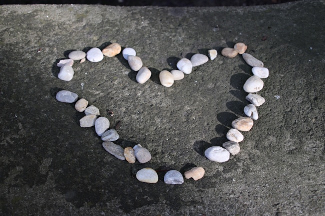 虎和啥属相相克 属虎人和谁相冲