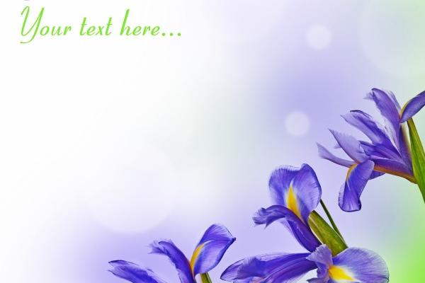 属马的幸运数字 东陵玉有什么作用