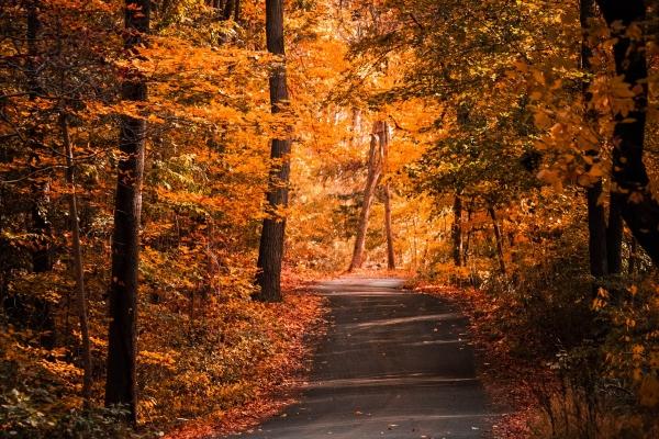 杨清华 十二生肖一周运势10.2-10.8