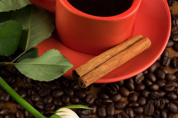 2024清明冲什么生肖 清明当天卦象分析