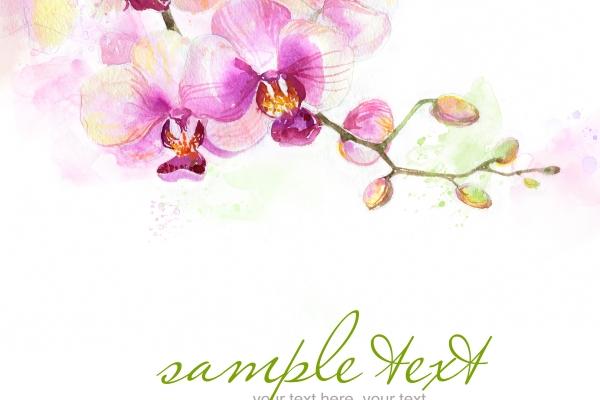 属马女和属牛的婚姻如何 如何化解马牛感情问题