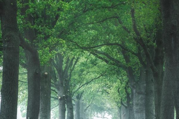 1960年属鼠人2024年运势及运程男，60年64岁生肖鼠2024年全年运势详解