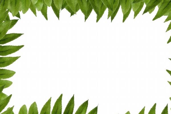 牛跟虎的属相是否婚配 两人的婚配建议