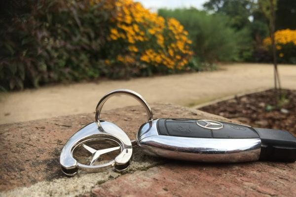 狗生肖2024运势年运势 运势一般生活平淡