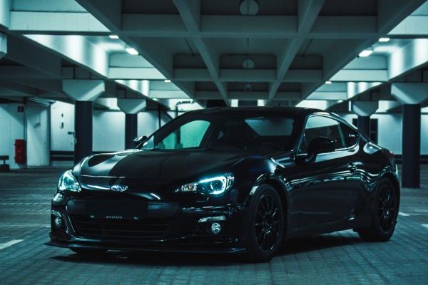 龙和狗结婚的结局怎样 为何龙狗不宜婚配