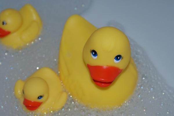 2024能结婚的生肖 哪些生肖可以结婚