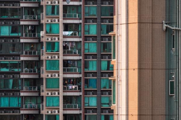 2024有财运的生肖 财务收入稳定乐观