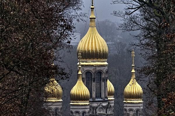 属兔的生属龙的宝宝好不好 父母属兔生什么宝宝好