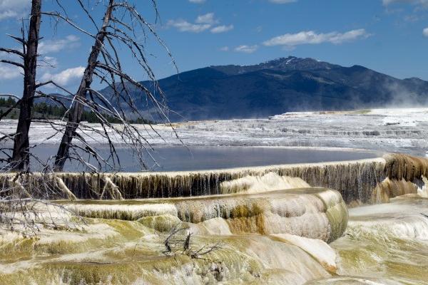 2024姻缘最旺的生肖 哪个生肖24年有望结婚
