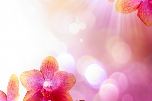 07年五行属什么命 07年出生命运分析