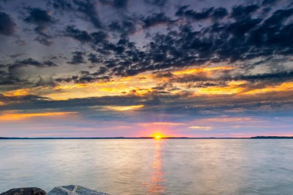 1990年属马人2024年运势及运程女,90年34岁生肖马2024年全年运势详解