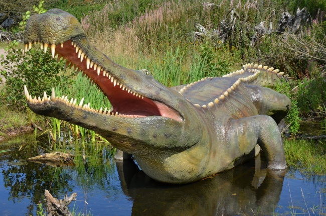 最会用脑子的生肖男 狗男最善沟通脑子灵活