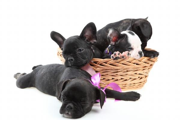 属牛和属猴的婚姻如何 牛猴相配生活甜蜜