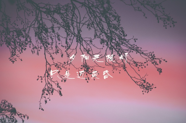 96年出生的鼠是早婚还是晚婚，属鼠的最佳婚配